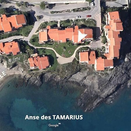 Collioure Appart En Bord De Mer Plage A 50M Clim Garage Location Du Samedi Au Samedi Dış mekan fotoğraf