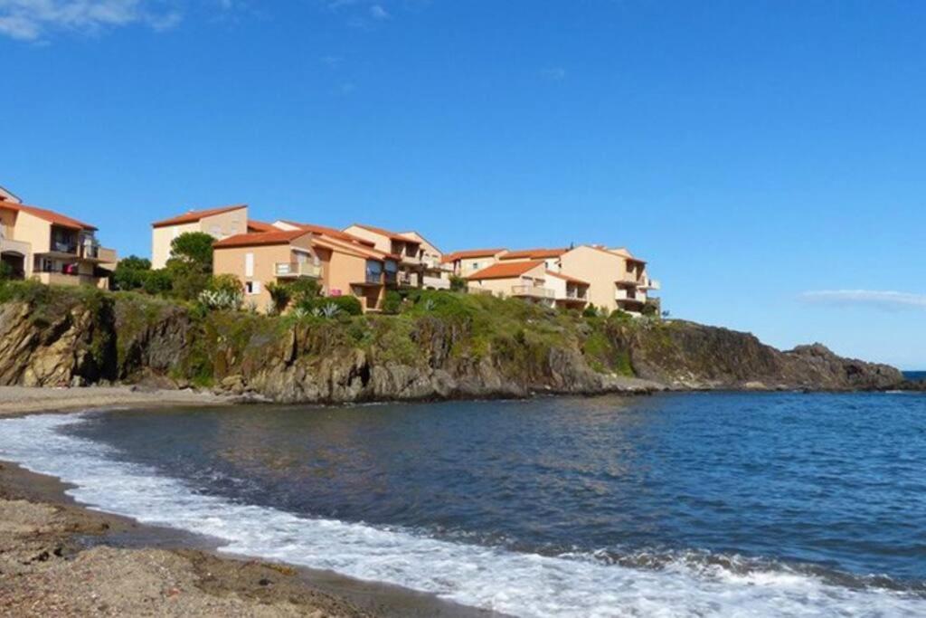 Collioure Appart En Bord De Mer Plage A 50M Clim Garage Location Du Samedi Au Samedi Dış mekan fotoğraf