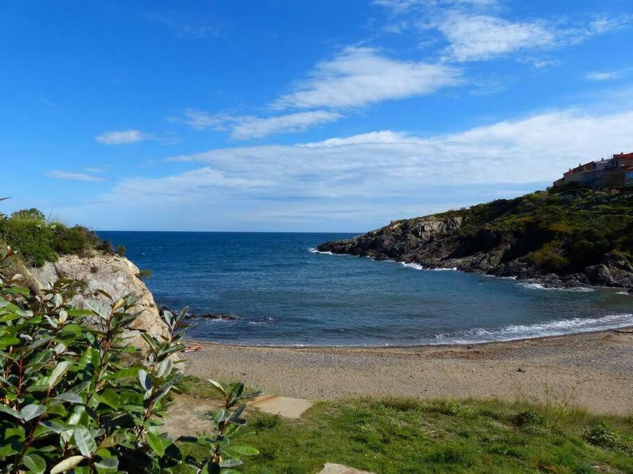 Collioure Appart En Bord De Mer Plage A 50M Clim Garage Location Du Samedi Au Samedi Dış mekan fotoğraf